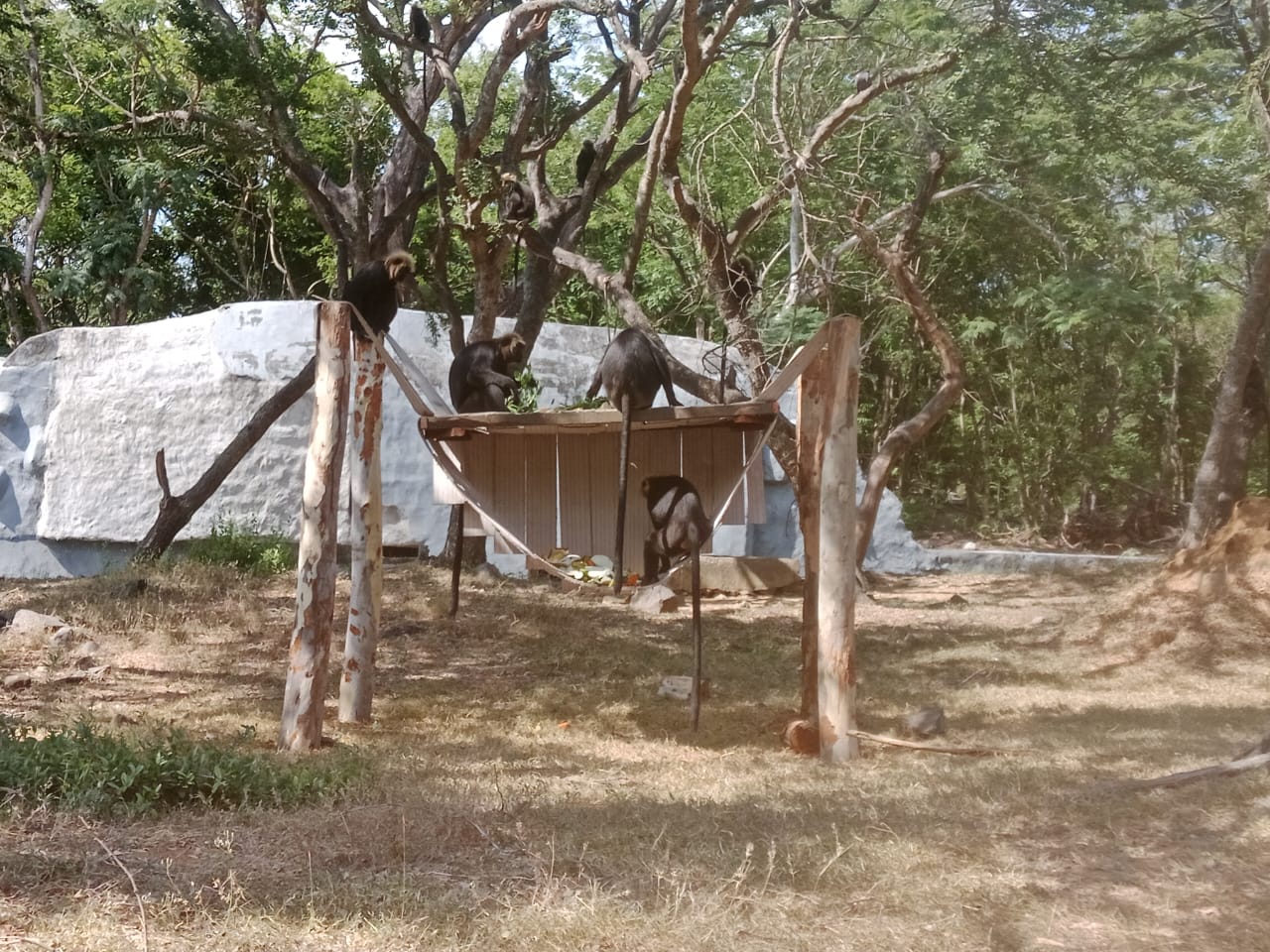 department